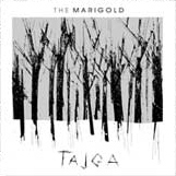 tajga-small tajga-small